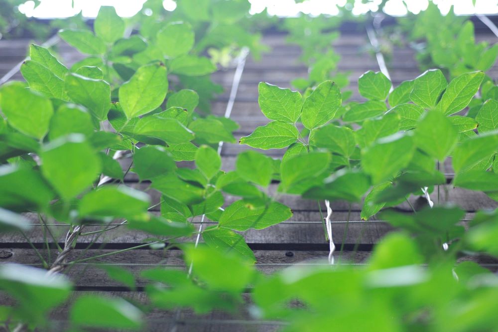 ご注文品の配送会社と配送形式について