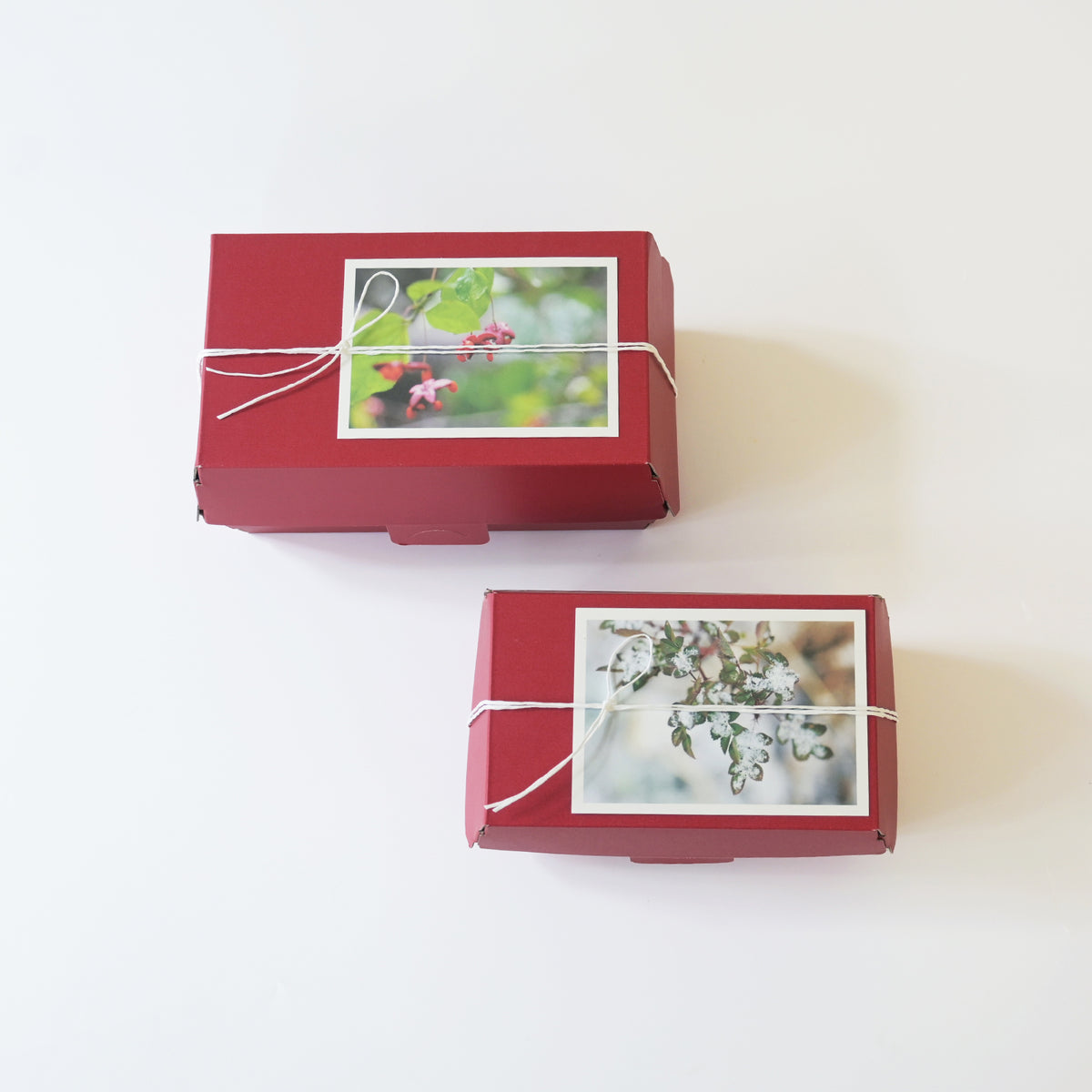 Limited quantity] Glossy Care Set